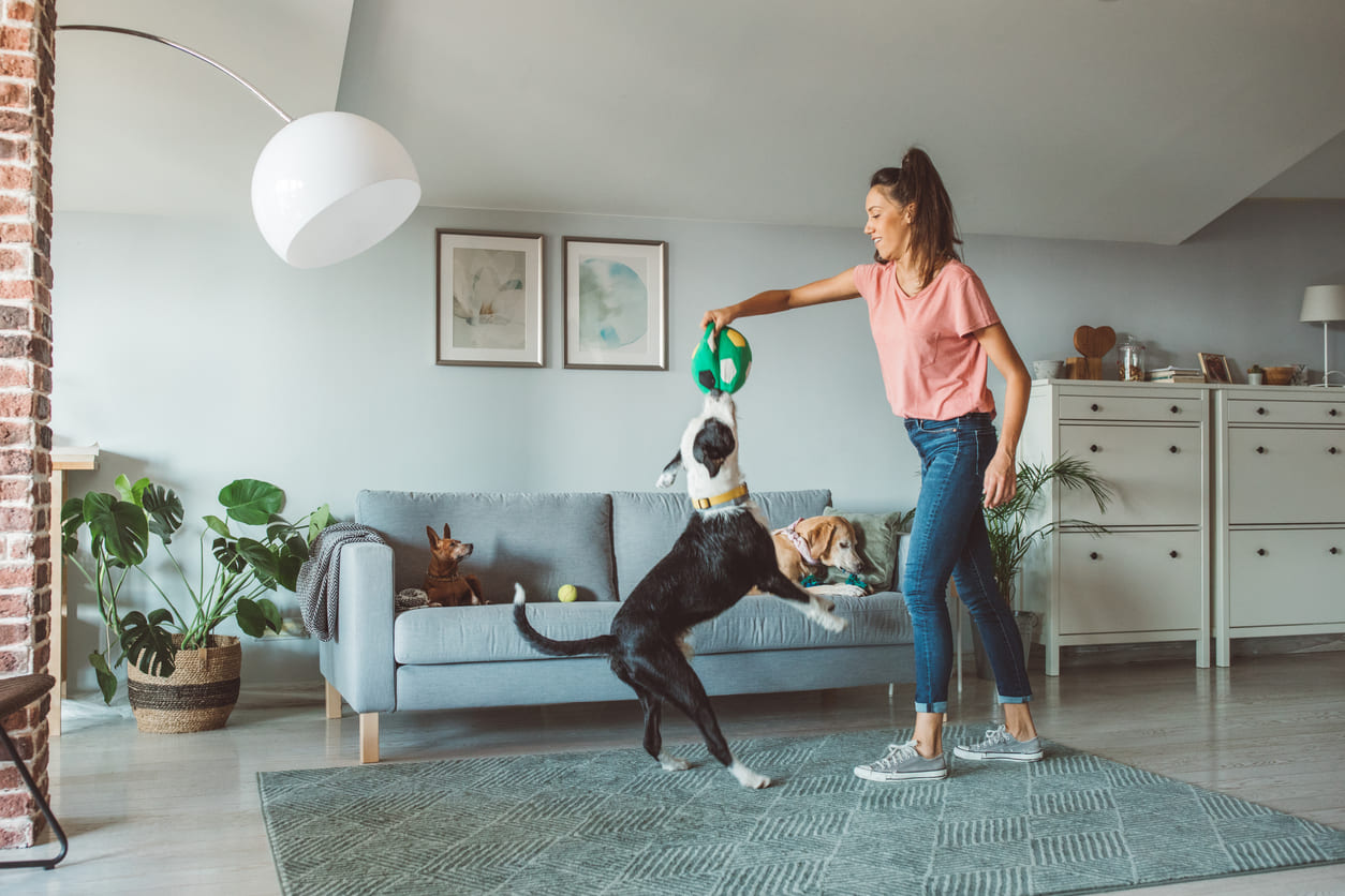 Eurolife blog | woman playing with dog