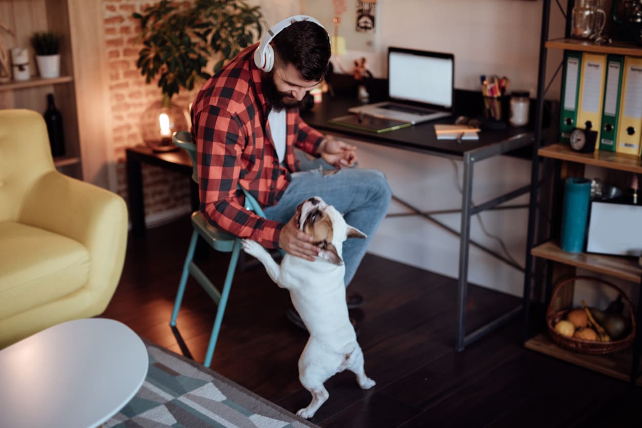 Eurolife blog - man playing with dog at his living room