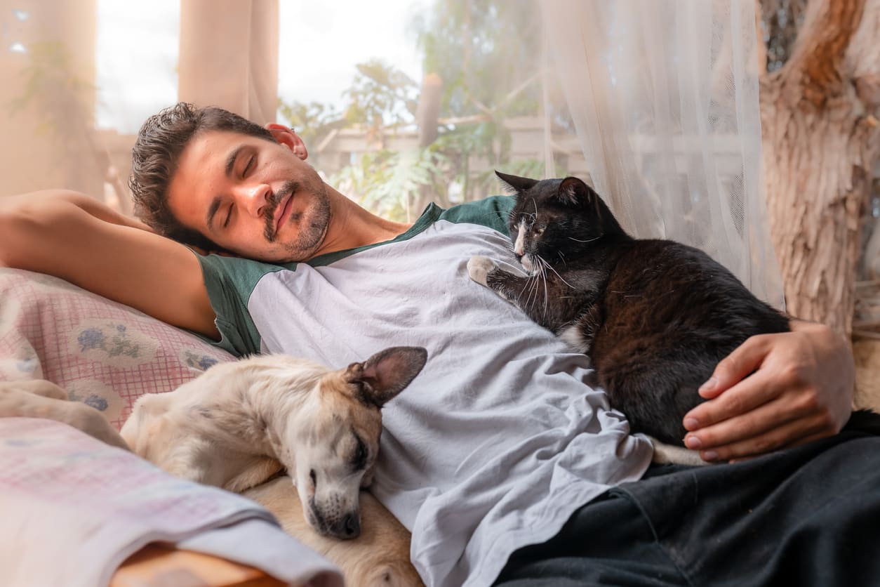 Eurolife blog - Man sleeping with his cat and dog
