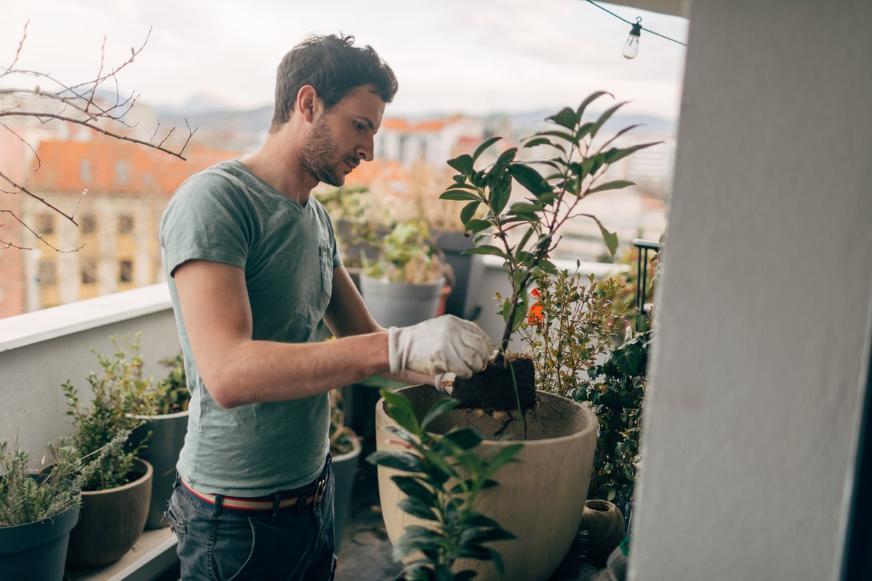 eurolife blog άνδρας σε μικρό μπαλκόνι με φυτά ασχολείται με μία γλάστρα