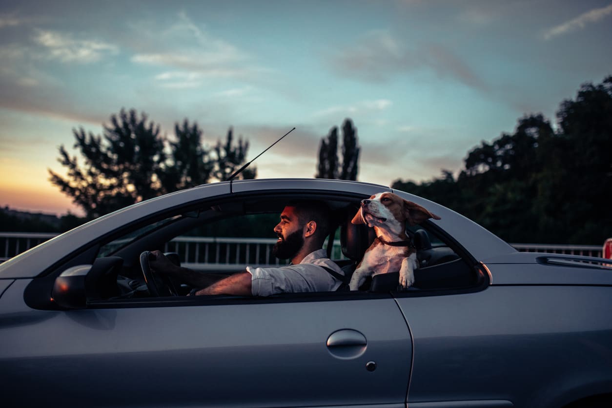 Eurolife blog - Man driving his car with his dog