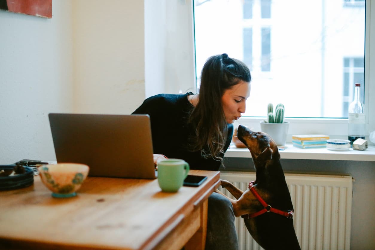 Άτομο εργάζεται σε τραπέζι με laptop στο σπίτι, ενώ ένας σκύλος στέκεται δίπλα του και το κοιτάζει στο παράθυρο.